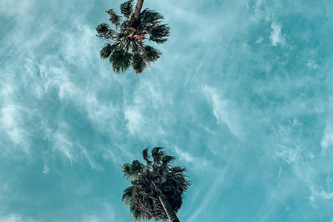 Private Photo Tour in Los Angeles - Best Instagram Places in LA - Starting at the Walt Disney Concert Hall and Beyond