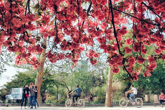 Private Photo Tour in Paris with a Professional Photographer - Street Music and Art at Place des Abbesses