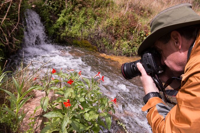 Private Photo Workshop and Sightseeing in Wasatch Mountains - Visiting Wildflower Fields and High Mountain Lakes