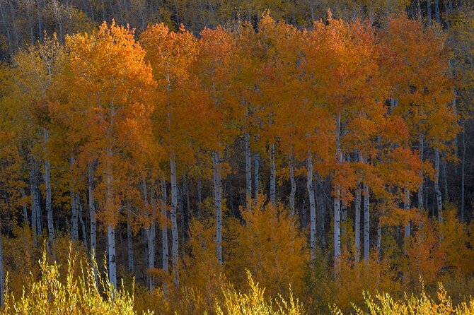 Private Photo Workshop and Sightseeing in Wasatch Mountains - Food and Breaks During the Excursion