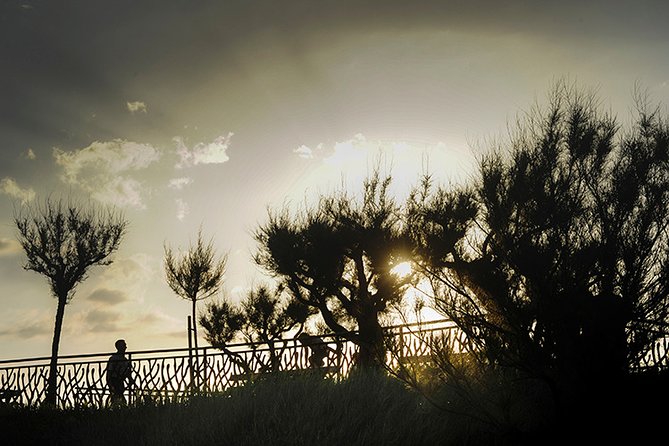 Private Photographic Walk in Biarritz - Comparing this Tour to Other Experience Options