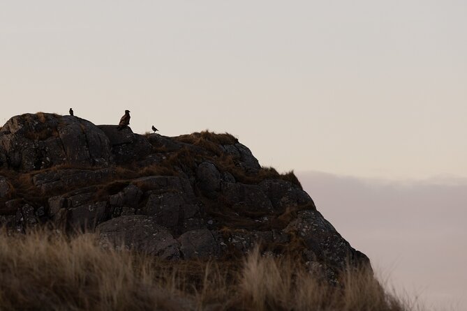 Private Photography Tour in Haugesund - Key Points