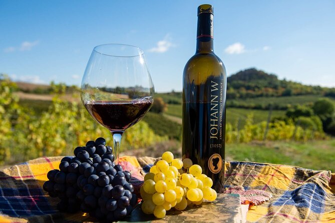 Private PICNIC in Bohemian Vineyards and Wine Tasting 4WD Tour - Off-Road Adventure into the Czech Countryside