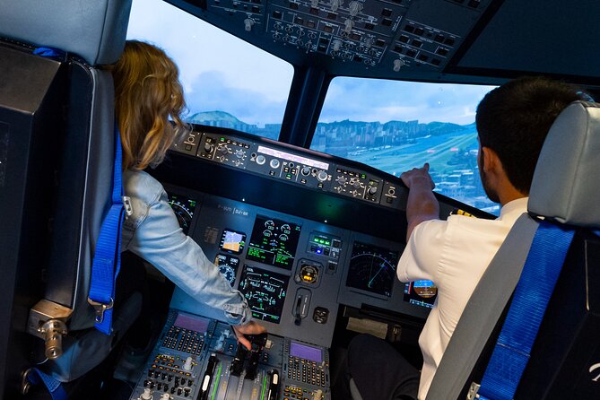 Private Pilotage of a Flight Simulator in Paris - Practical Tips for Participants