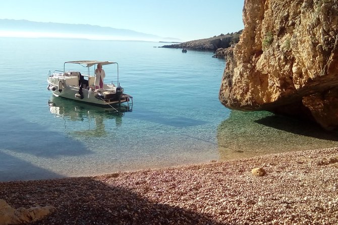 Private Plavnik Island Half-Day boat trip with capt. Bobo - Encountering the Local Wildlife and Natural Features