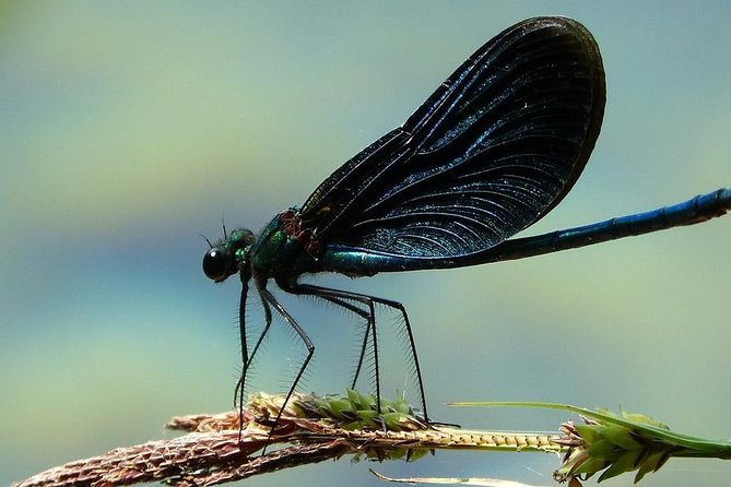 Private Plitvice Lakes - a Day In Magicland From Split - Assistance from a Knowledgeable English-Speaking Guide
