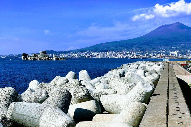 Private Pompeii Herculaneum and Vesuvius Full-Day Shore Excursion - The Flexibility of a Self-Guided Experience