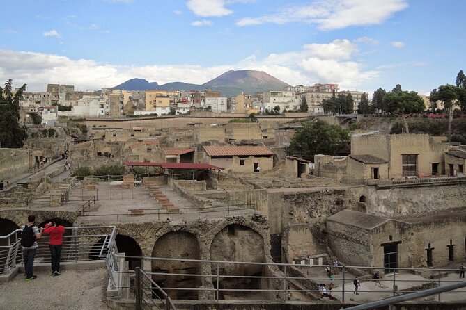 Private Pompeii, Herculaneum and Winery Tour from Naples - The Scenic Vineyard on the Slopes of Mount Vesuvius