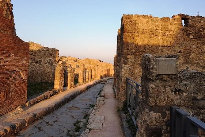 Private Pompeii & Herculaneum Guided Tour With An English-Speaking Archaeologist - Navigating the Train Between Pompeii and Herculaneum