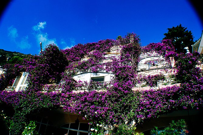 Private Pompeii, Sorrento & Mozzarella Making Tour from Naples - Exploring Pompeii’s Archaeological Wonders