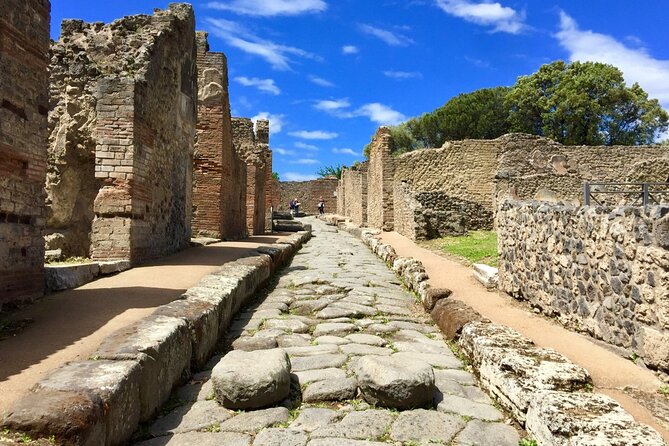 Private Pompeii Tour From Sorrento with Pick Up and Drop Off - The Vehicle and Driver: Comfort and Concerns
