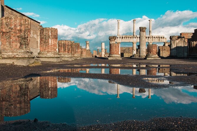 Private Pompeii Tour From Sorrento with Pick Up and Drop Off - Pacing and Flexibility During the Tour