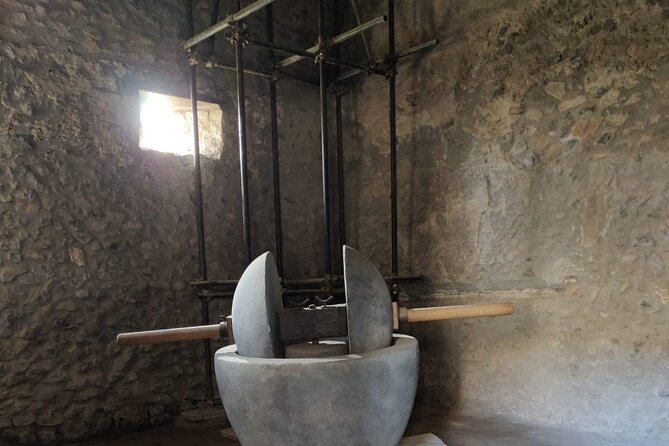 Private Pompeii Tour with Fast-Entrance Tickets to the Ruins & Exclusive Guide - Highlights of the Tour: From Porta Marina to the House of Menander