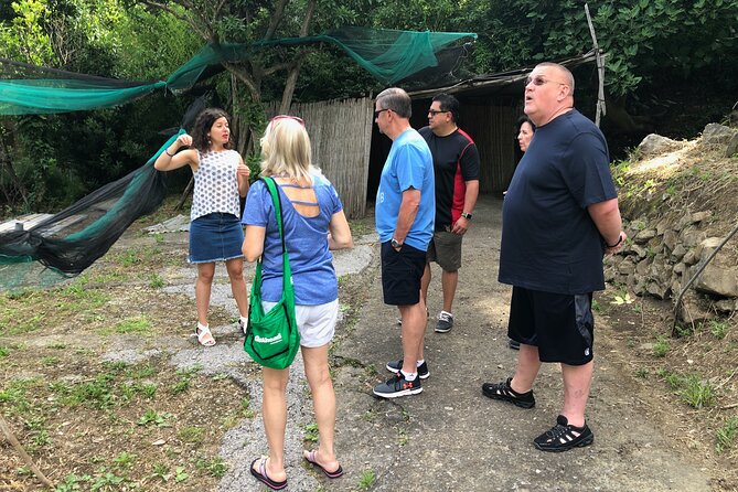 Private Pompeii Tour with lunch and Olive Oil Factory Experience - The Guide: Stefania’s Personal Touch