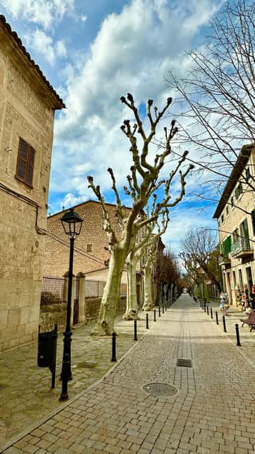 PRIVATE Port de Sóller, Sóller, and Sa Foradada Sunset Tour - Key Points