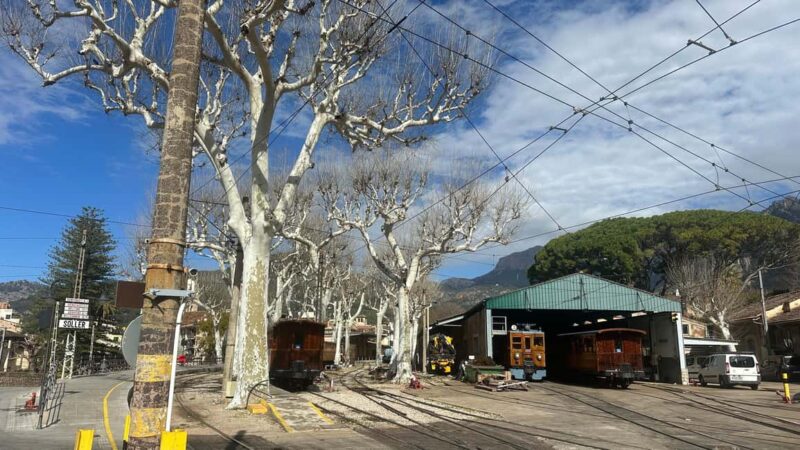 PRIVATE Port de Sóller, Sóller, and Sa Foradada Sunset Tour - The Historic Tram to Port de Sóller