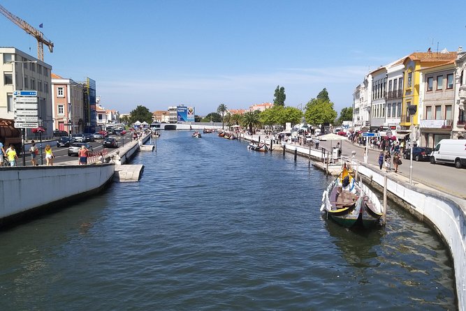 Private Porto to Lisbon Tour  Customize Your Journey! - Alcobaça’s Medieval Charm