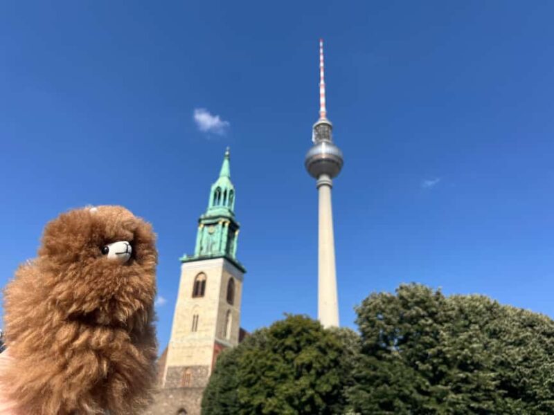 Private Potsdam Highlights: Half-Day Guided Tour Experience - Key Points