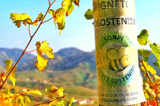 Private Prosecco Tour, with a certified Sommelier - Key Points