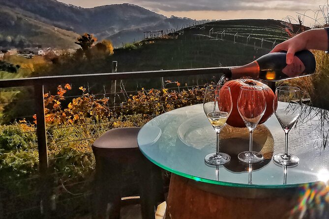 Private Prosecco Tour, with a certified Sommelier - Visiting a Traditional Valdobbiadene Winery