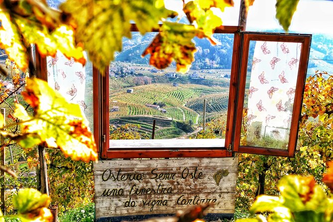 Private Prosecco Tour, with a certified Sommelier - The Quirky Charm of LOsteria SenzOste