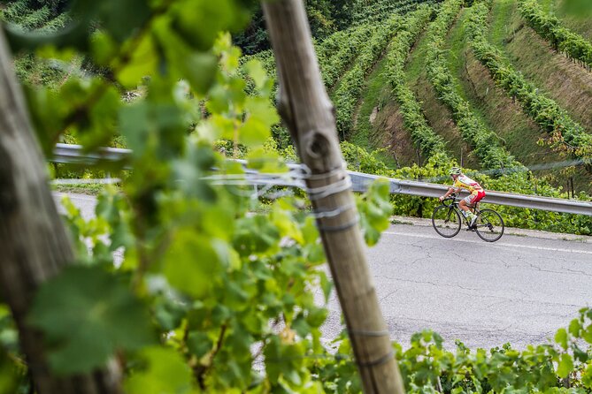 Private Prosecco Tour, with a certified Sommelier - Accessibility and Booking Considerations