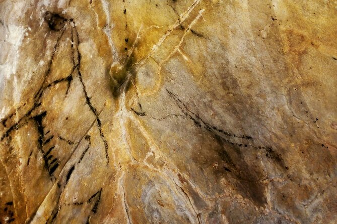 Private Puente Viesgo Caves Full-Day Tour from Santander - The Charm of Santillana del Mar