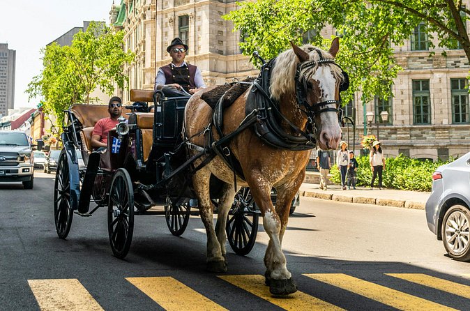 Private Québec City Highlights 3 Hour Walking Tour - Customizing Your Experience: Food, Shopping, and Scenic Views