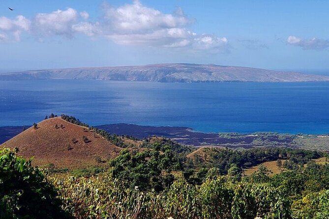 Private Redwood Forest Hiking Tour - Exploring Makawao’s Charming Shops and Galleries