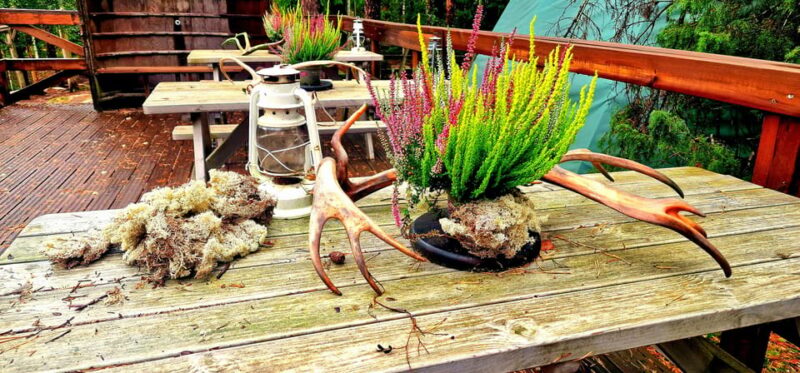 PRIVATE Reindeer Park Adventure by VIP Car - Key Points