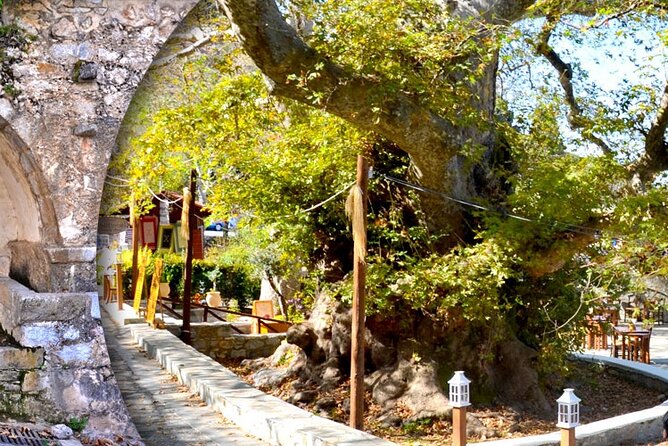 Private Rethymno old town,kourtaliotiko waterfalls& preveli beach - Walking and Exploring the Preveli Palm Forest