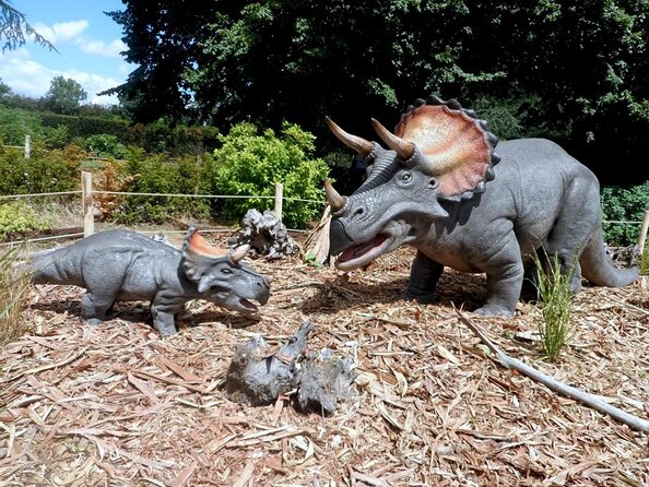 Private Return Transfer Thoiry Zoo Safari from Paris - Explore Thoiry Zoo Safari with Comfortable Private Transfer from Paris