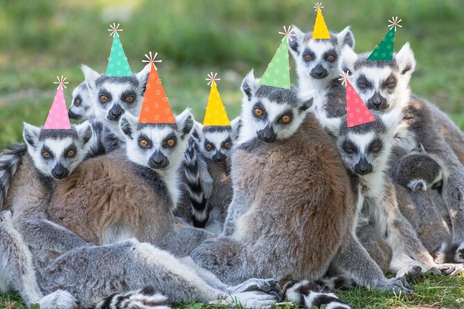 Private Return Transfer Thoiry Zoo Safari from Paris - Navigate the 2.3 km Long Maze and Scent the Flowers