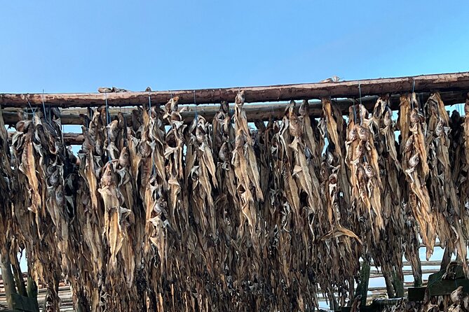 Private Reykjanes Peninsula Guided Tour - Logistics and Booking Details