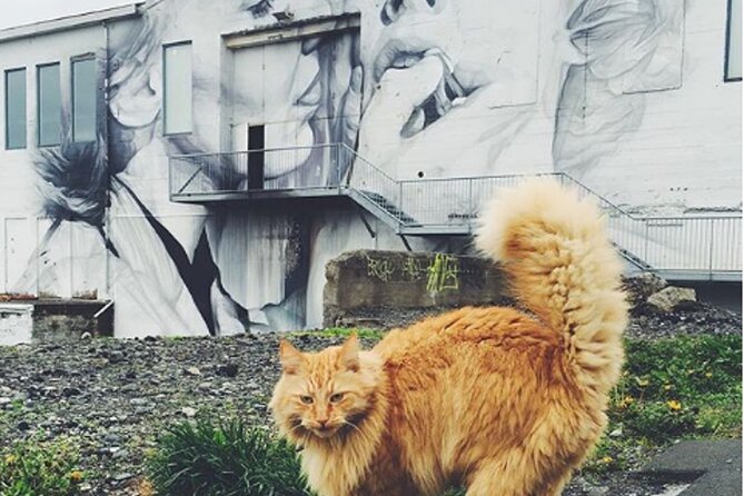 Private Reykjavik Cat Walking Tour - Furry Tails at the Parliament House (Althingishus)