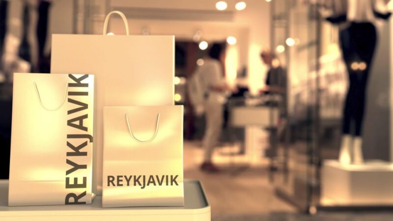 Private Reykjavik Shopping & Sightseeing Walking Tour - Discovering Hidden Stores and Local Gems