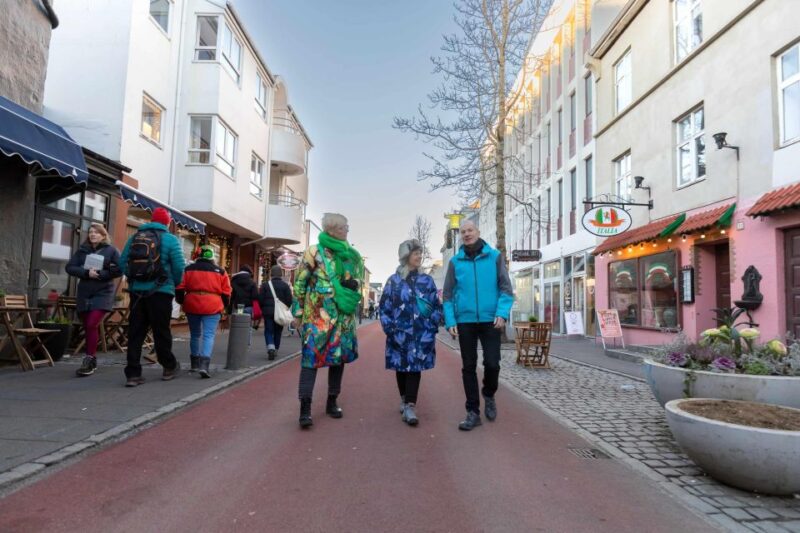 Private Reykjavik Shopping & Sightseeing Walking Tour - Practical Details and Booking Flexibility