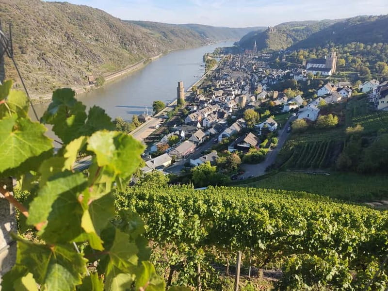 Private Rhine Valley tour with river cruise & wine tasting - An Elegant Day in the Rhine Valley with Private Guide and Exclusive Experiences