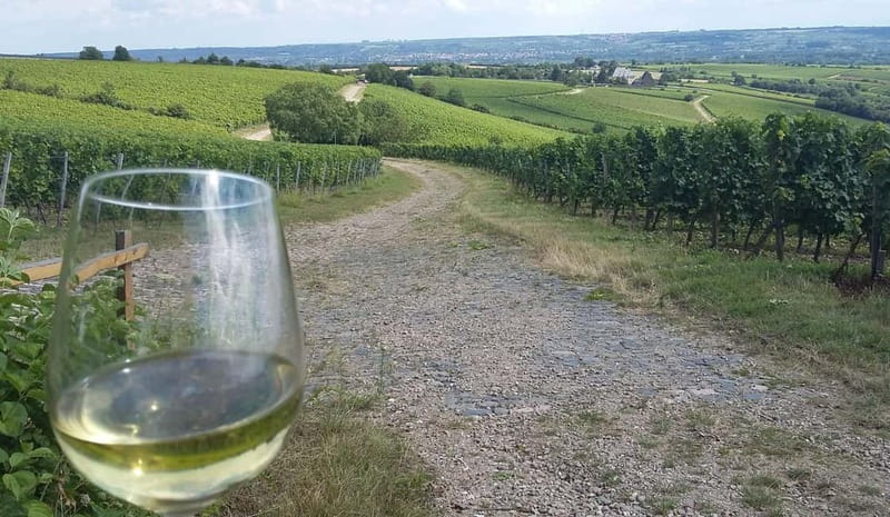 Private Rhine Valley tour with river cruise & wine tasting - Key Points