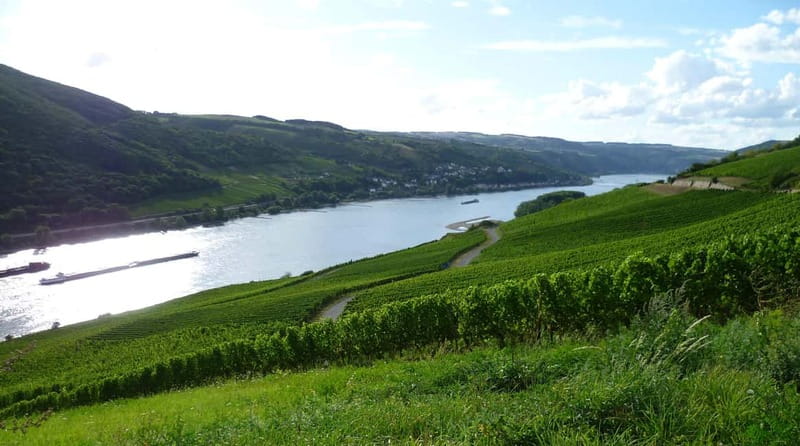 Private Rhine Valley tour with river cruise & wine tasting - Exploring the Best Views and Lookouts of the Rhine Valley