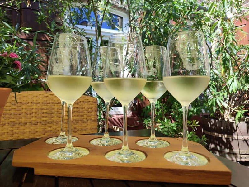 Private Rhine Valley tour with river cruise & wine tasting - Visiting Iconic Monasteries and Medieval Fortresses