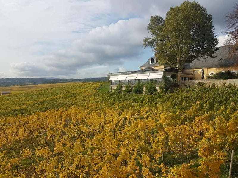 Private Rhine Valley tour with river cruise & wine tasting - Customization and Flexibility for Your Ideal Day