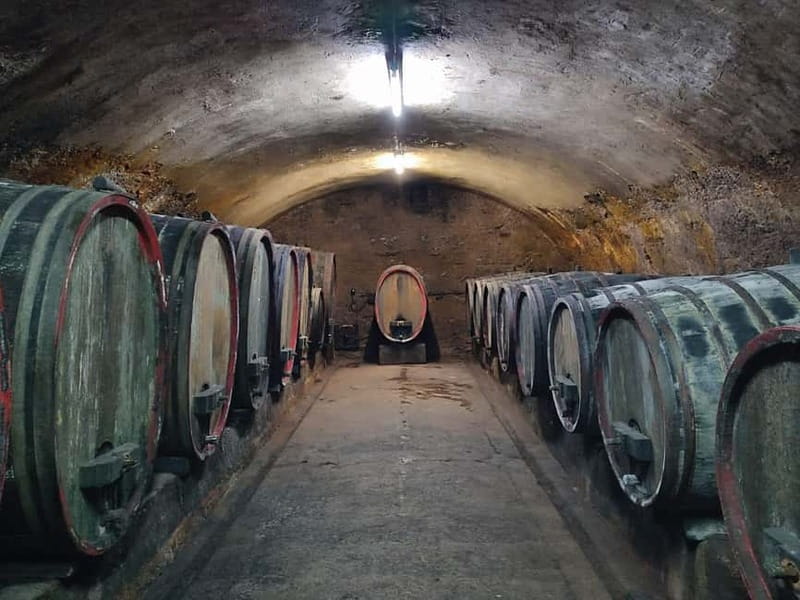 Private Rhine Valley tour with river cruise & wine tasting - Practical Details and Accessibility