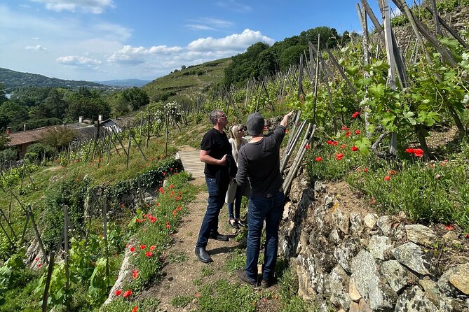 Private Rhône-Valley wine tour - Transportation and Logistics: Comfort and Convenience