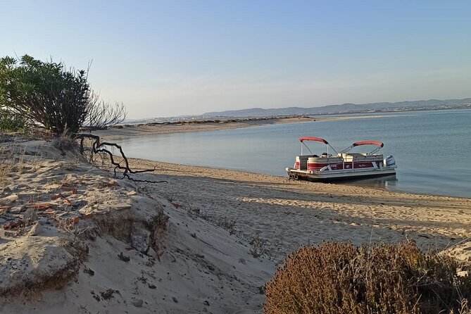 Private Ria Formosa Natural Park Boat Cruise from Faro - Exploring Barreta Island: An Uncrowded Beach Escape