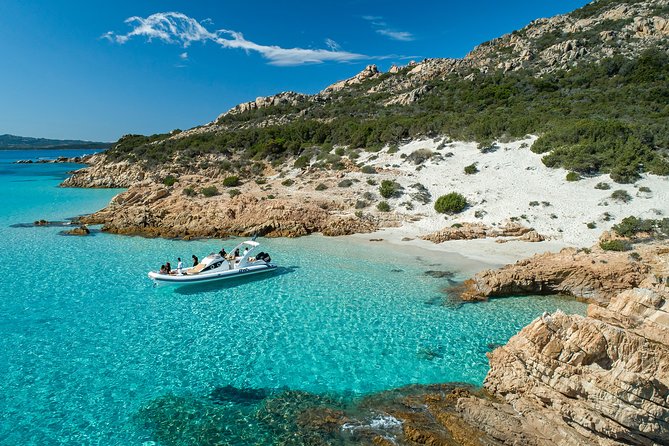 Private Rib Tour La Maddalena archipelago with skipper 4 or 8 hours - Key Points