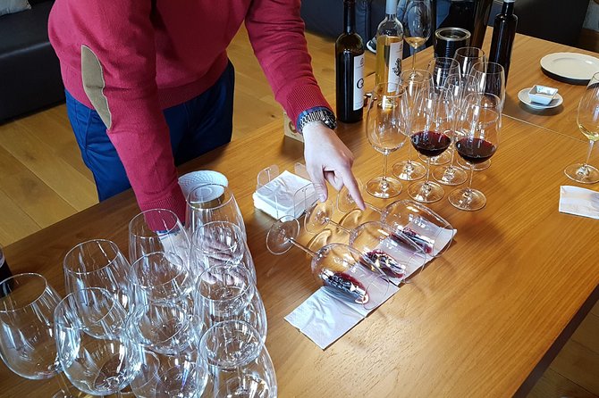Private Rioja Wine Tasting Tour from San Sebastian - The Journey Begins in San Sebastian with Convenient Pickup