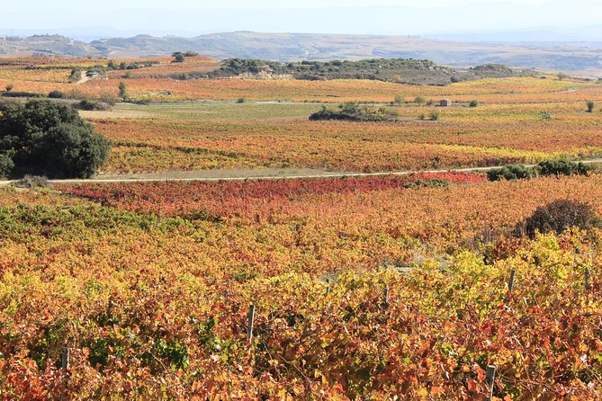 Private Rioja Wine Tasting Tour from San Sebastian - All-Inclusive Tastings and Expert Guidance