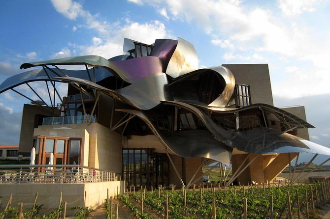 Private Rioja wine tasting tour with local lunch - Authentic Rioja Wine Tastings and Cellar Tours