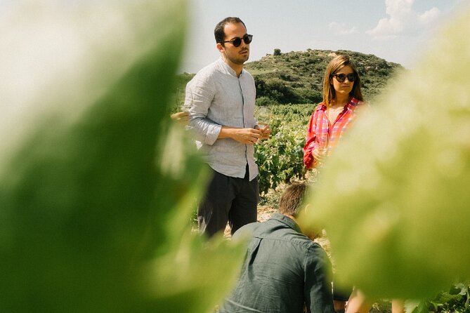 Private Rioja Wine Tour of Vines and Wines in Spain - Explore Rioja’s Artisanal Vineyards and Small-Batch Wines